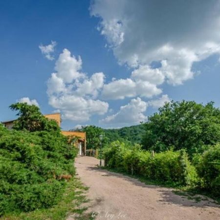 Gite Du Mont Plaisir Villa Chouvigny Exterior foto